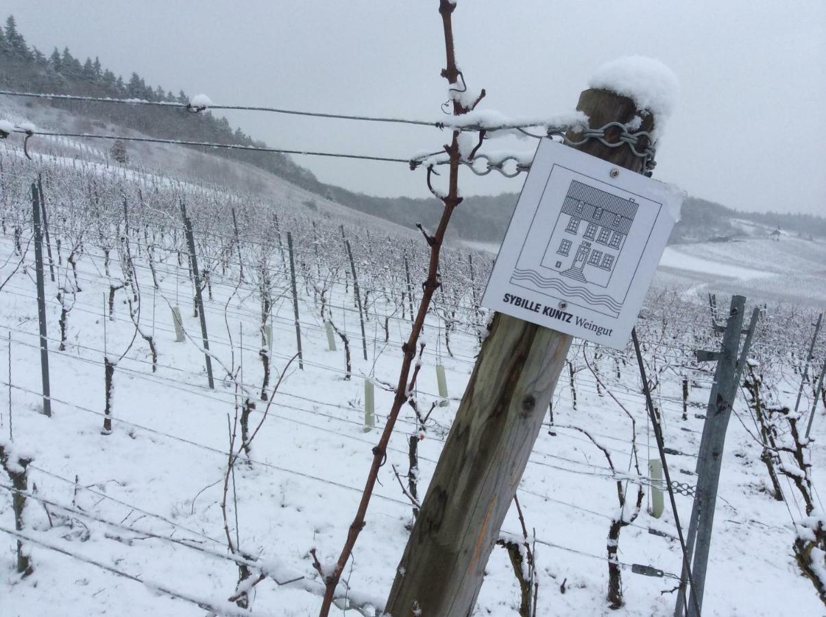 Sybille Kuntz Weingut Gaestehaus Lieser Bagian luar foto